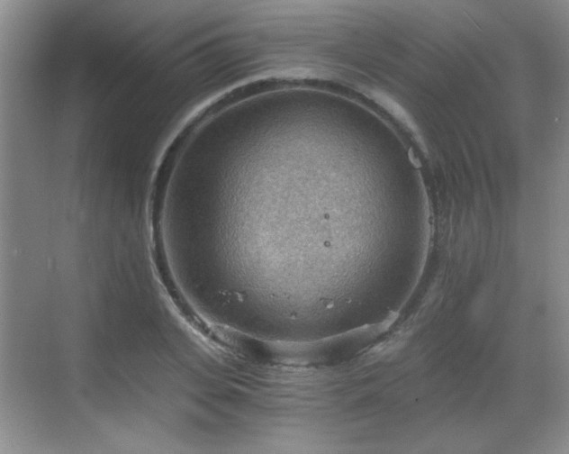 X0000068830935200605081209