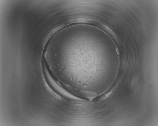 X0000068830938200605081209