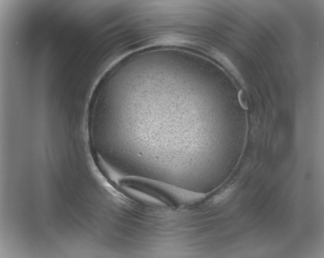 X0000068830939200605081209