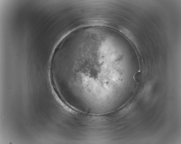 X0000068830941200605081210