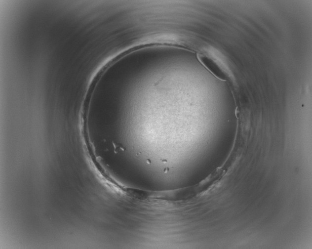 X0000068830944200605081210