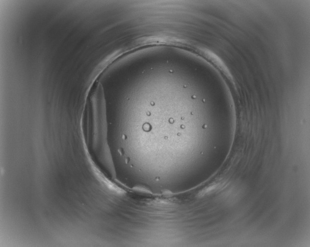 X0000068830946200605081210