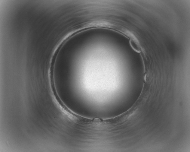 X0000068830947200605081210