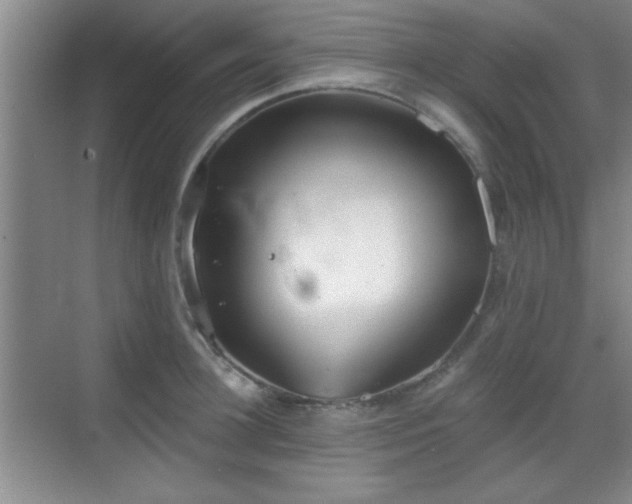 X0000068830948200605081210