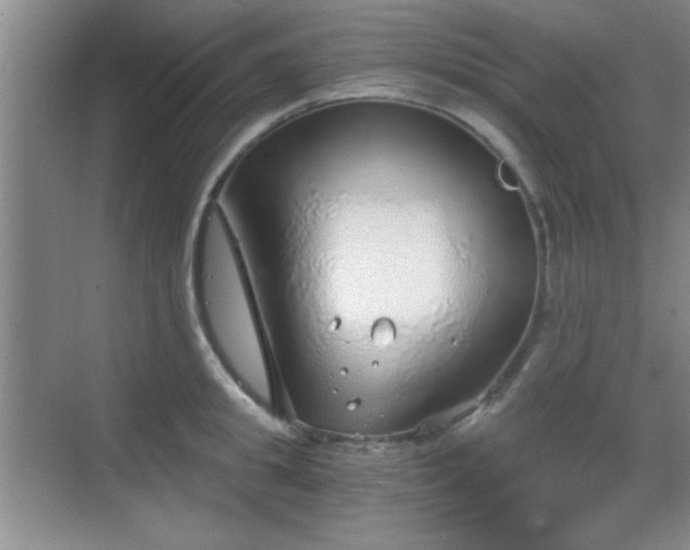 X0000068830949200605081210