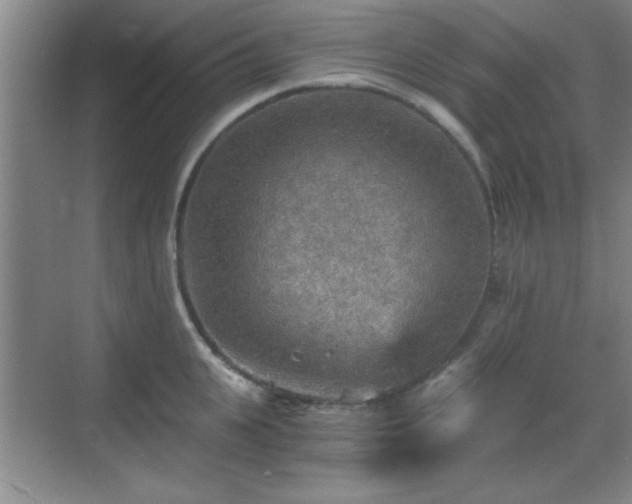 X0000068830951200605081210