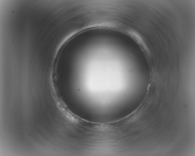 X0000068830952200605081210