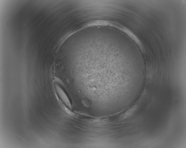 X0000068830953200605081210