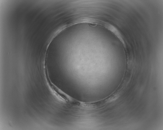 X0000068830954200605081210