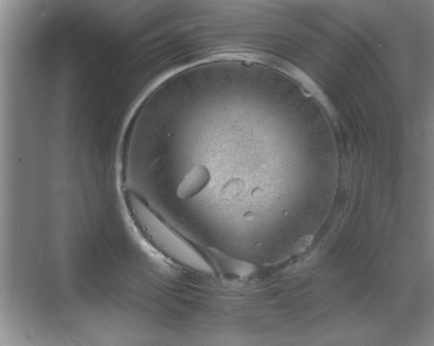 X0000068830955200605081210