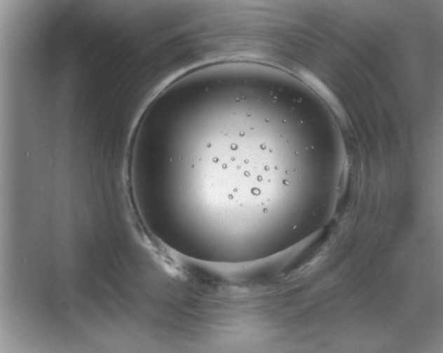 X0000068830956200605081210