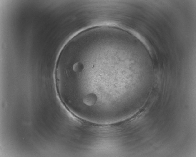 X0000068830959200605081210