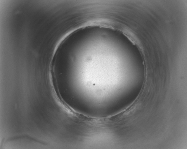 X0000068830960200605081210