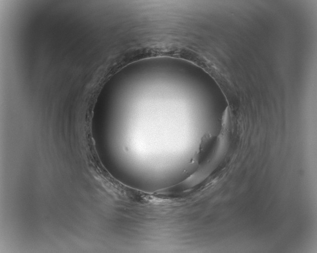 X0000068830961200605081209