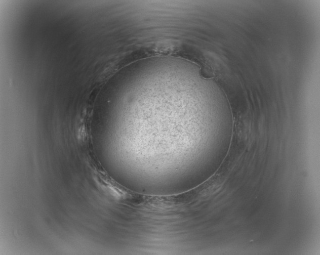 X0000068830962200605081209