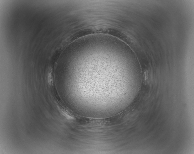 X0000068830963200605081209