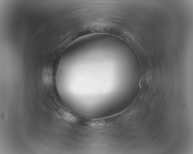 X0000068830964200605081209