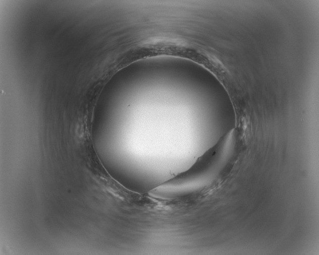 X0000068830965200605081209