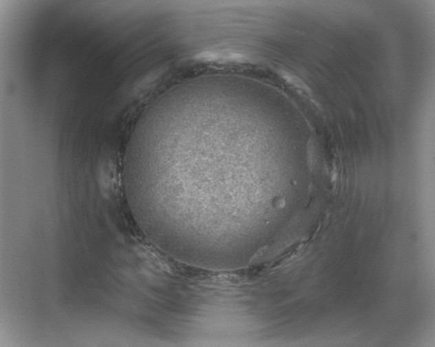 X0000068830966200605081209