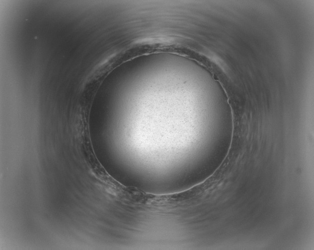 X0000068830967200605081209