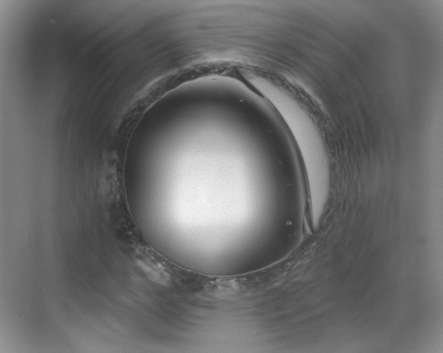 X0000068830968200605081209