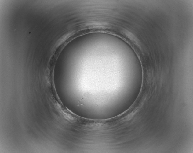 X0000068830970200605081209