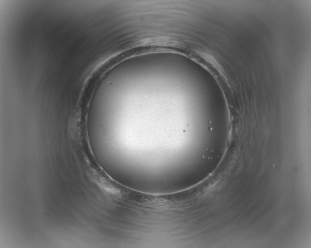 X0000068830971200605081209