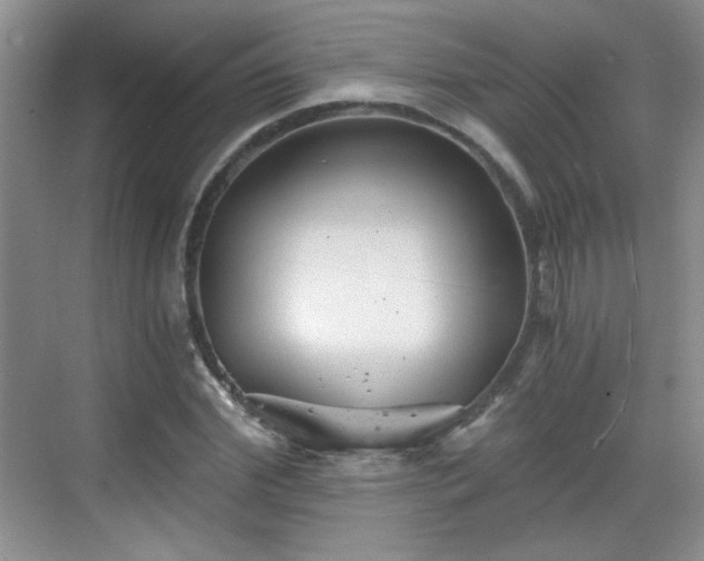 X0000068830972200605081209