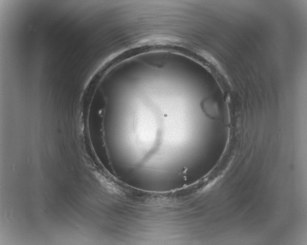 X0000068830973200605081209