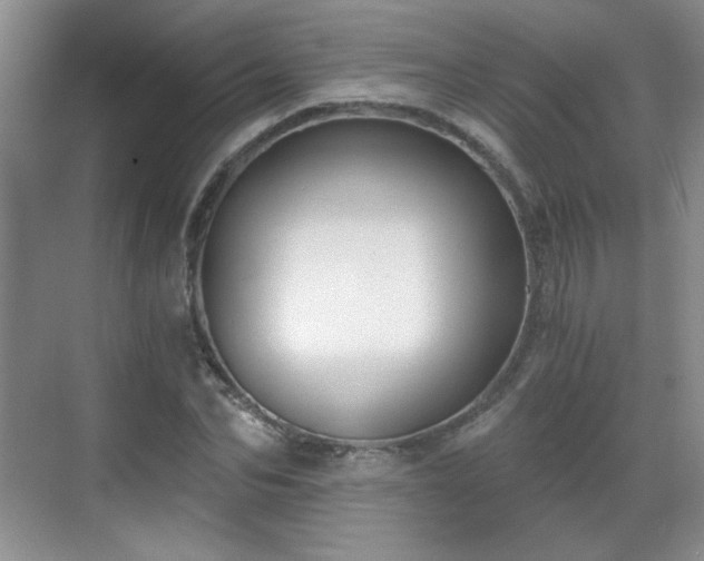 X0000068830974200605081209