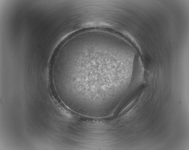 X0000068830975200605081209