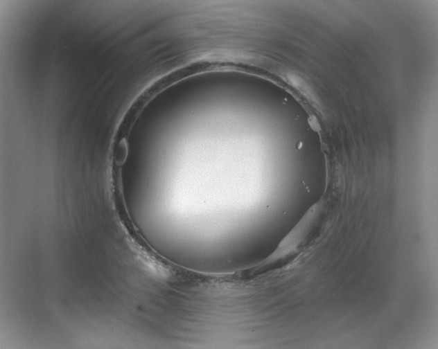 X0000068830976200605081209