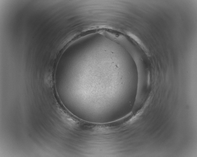 X0000068830977200605081209