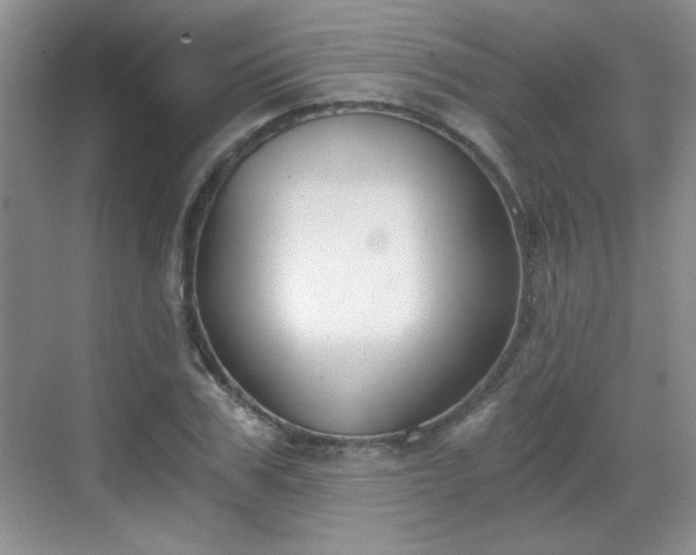 X0000068830979200605081209