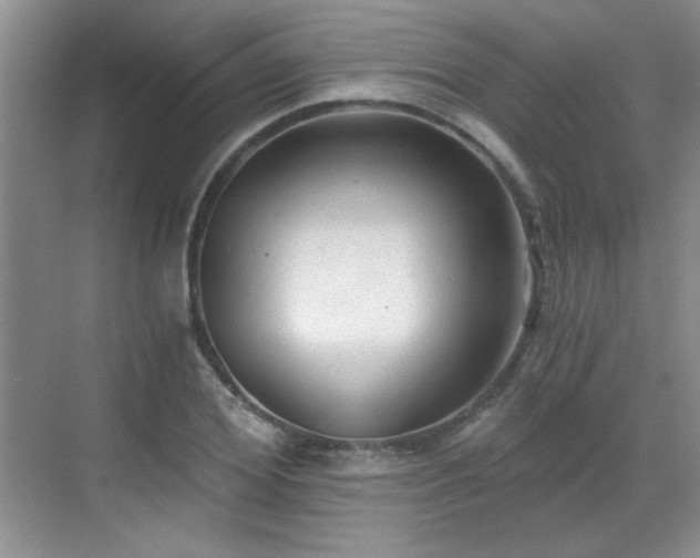 X0000068830980200605081209