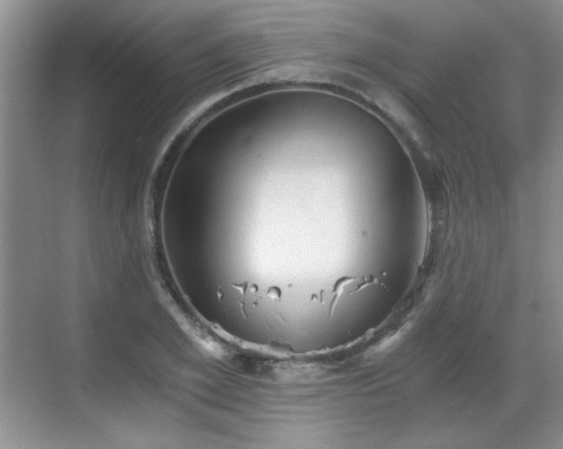 X0000068830981200605081209