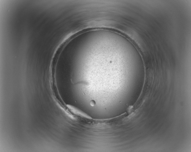 X0000068830982200605081209