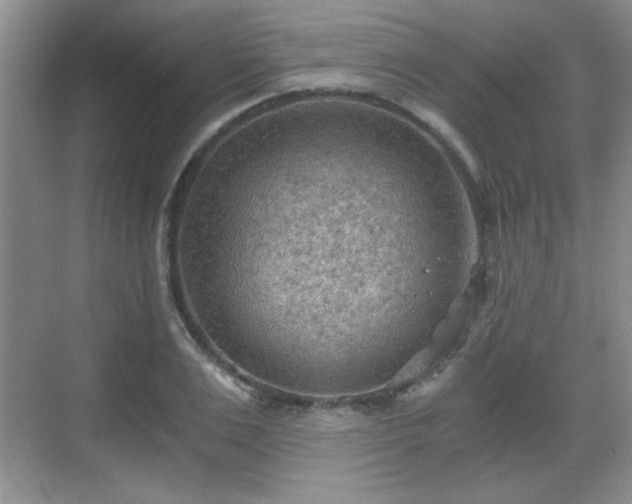 X0000068830983200605081209