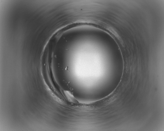 X0000068830984200605081209