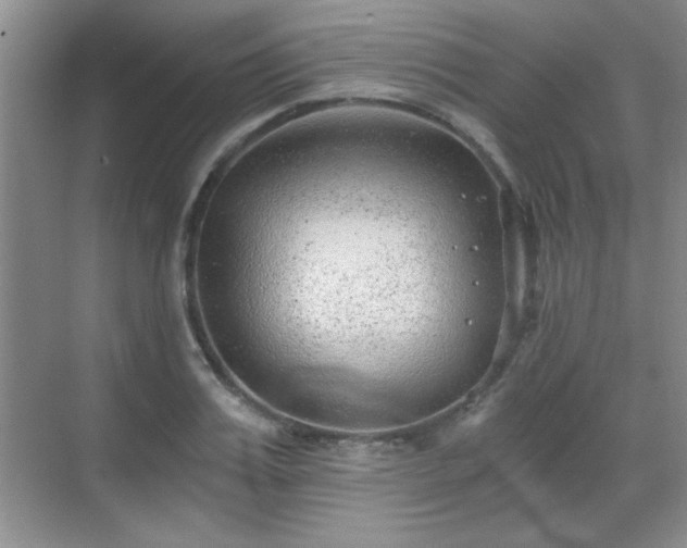 X0000068830987200605081209