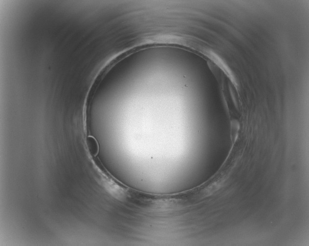 X0000068830988200605081209