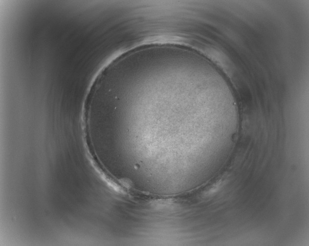 X0000068830990200605081209