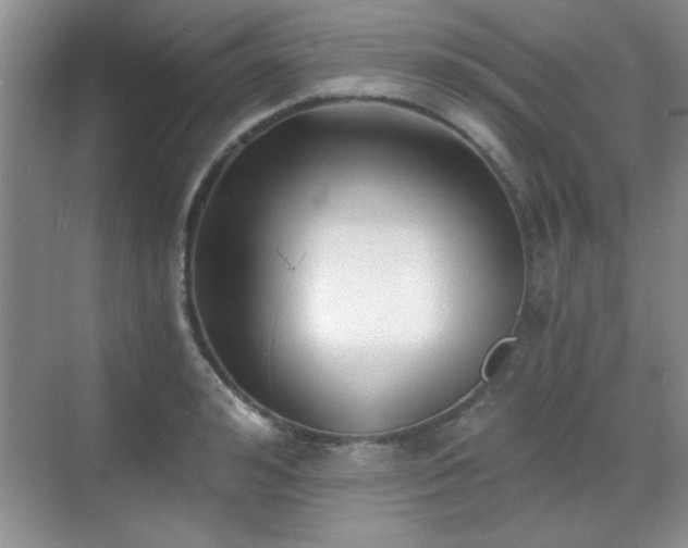 X0000068830992200605081209