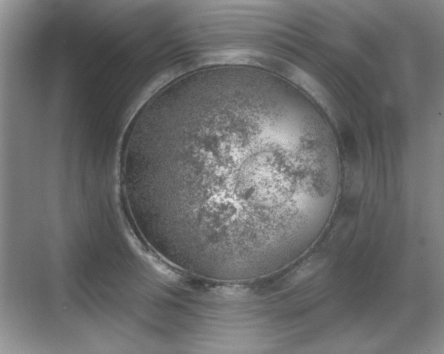 X0000068830994200605081208