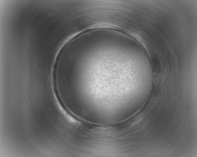 X0000068830995200605081208