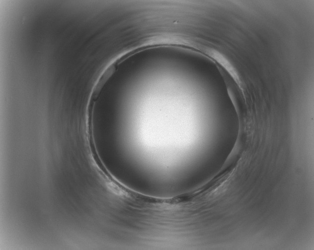 X0000068830996200605081208