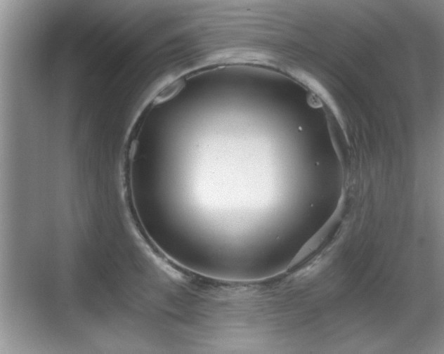 X0000068830997200605081208