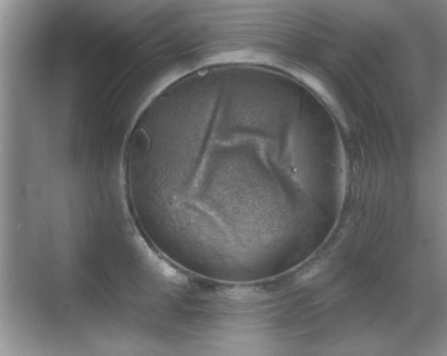 X0000068830998200605081208