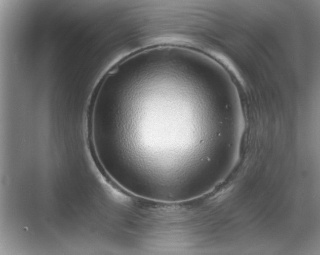 X0000068830999200605081208