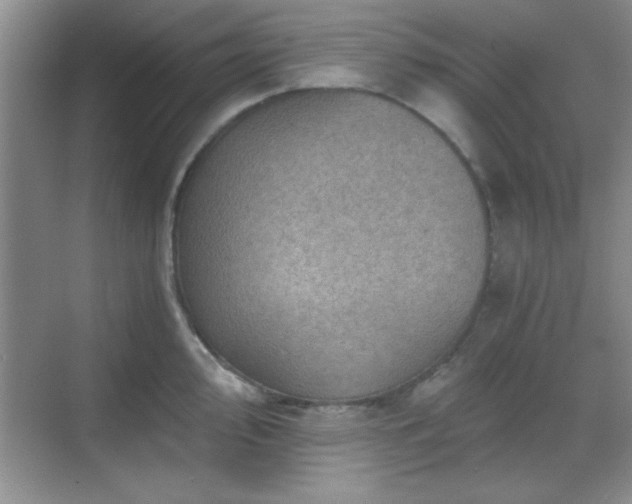 X0000068831000200605081208